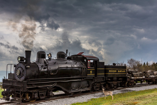 828482 (a): :2048x1365